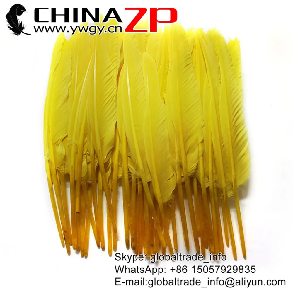 Duck Pointer Primary Wing Feathers (9)