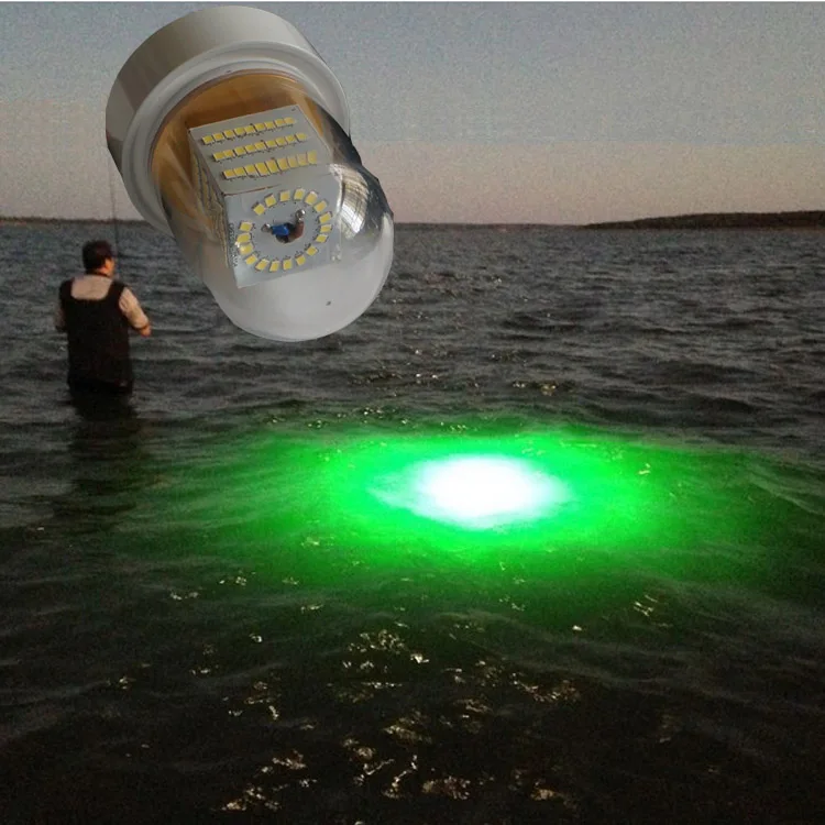 Crappie Boilies Crank Senko Bass fishing 60W DC12V 24V fishing LED