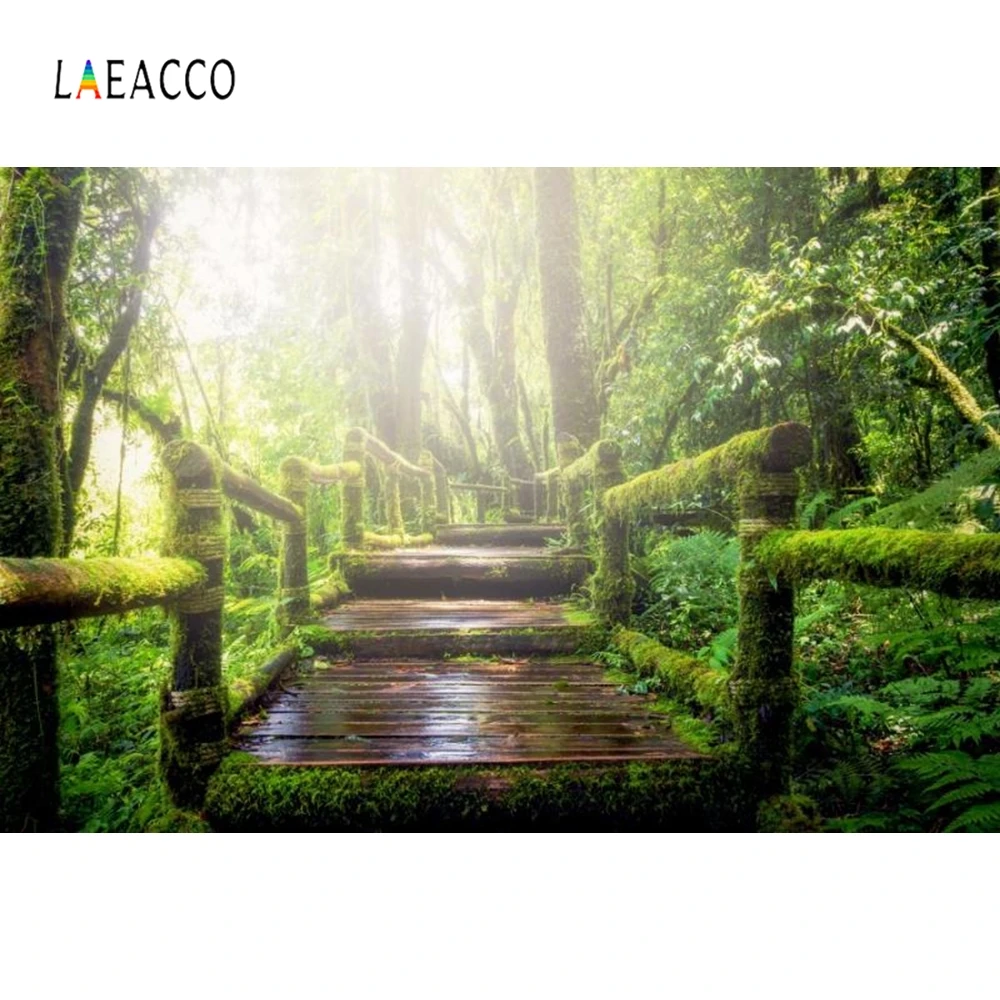 

Laeacco Forest Wood Steps Photographic Backdrops Customized Nature Scenic Portrait Photography Backgrounds For Photo Studio