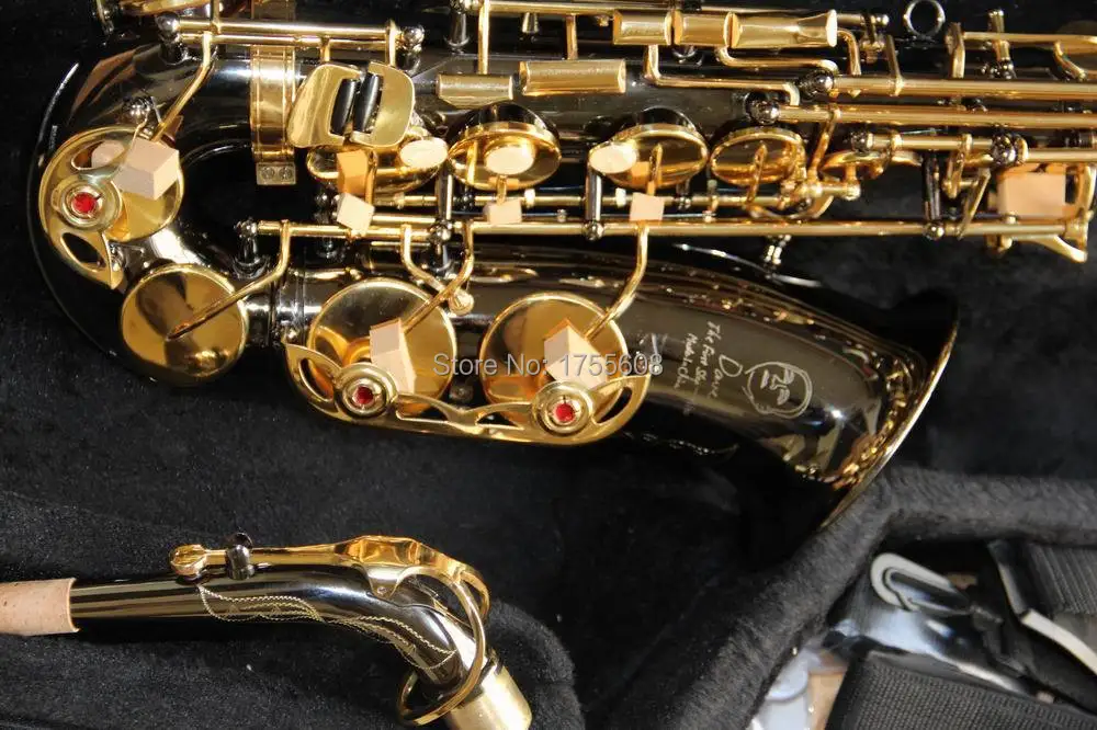 Brand New alto saxophone Black Nickel Body gold parts 120212alto