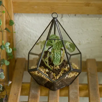 

Artistic Hanging Clear Glass Five-surfaces Diamond Succulent Fern Planter Geometric Terrarium Flower Pot DIY Flowerpot with Loop