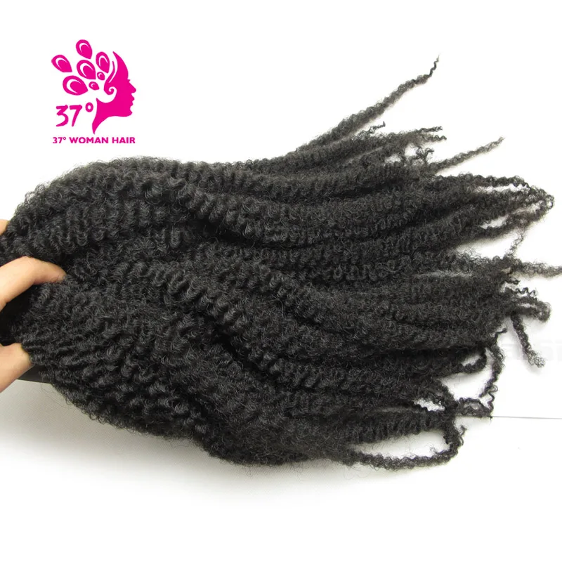 afro twist braid 1B (10)