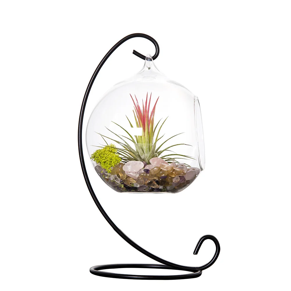 Mkono Air Plant Terrarium Airplants Glass Vase Succulent Terrariums
