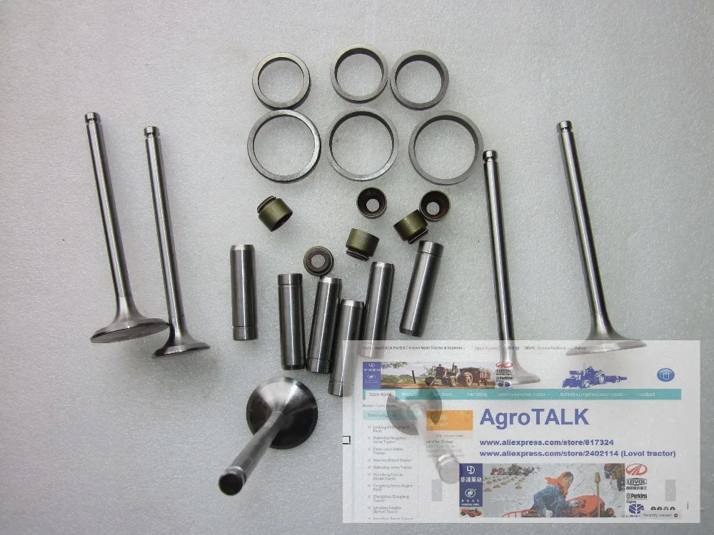 Yangdong Y385T engine parts, the set of valve group including valves