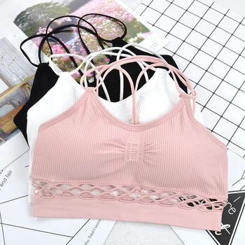 

Yoga Bra Fitness Women Sport Bra Top Gym Fitness Running Sport Tops Wirefree Padded Yoga Bra Athletic Vest Deportivo Mujer Women