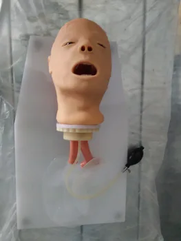 

BIX-J50 Trachea Intubation, Classic Trachea Weasand Intubation Cannula Training Model WBW074