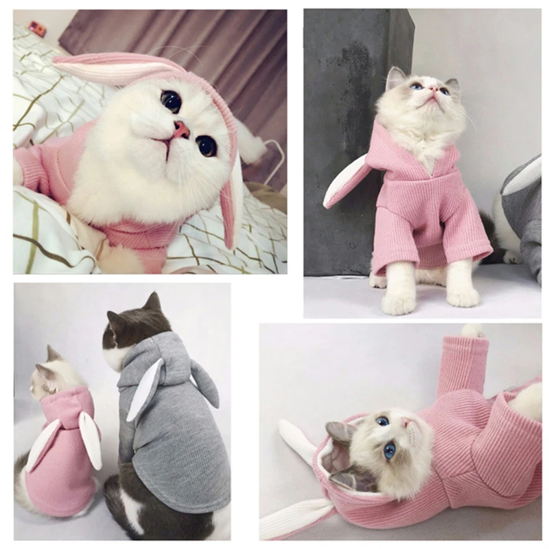 Милая кошка Детский костюм, зимняя теплая одежда для кошек, рисунок с кошечками милый вязаный свитер с капюшоном с ушками кролика и Китти накидка, чехол для собак Костюмы