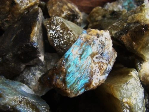 Very Nice 500 Carat Lots of Unsearched Natural Chrysocolla Rough Very Nice 500 Carat Lots of Unsearched Natural Chrysocolla Rough