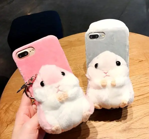 case (30)
