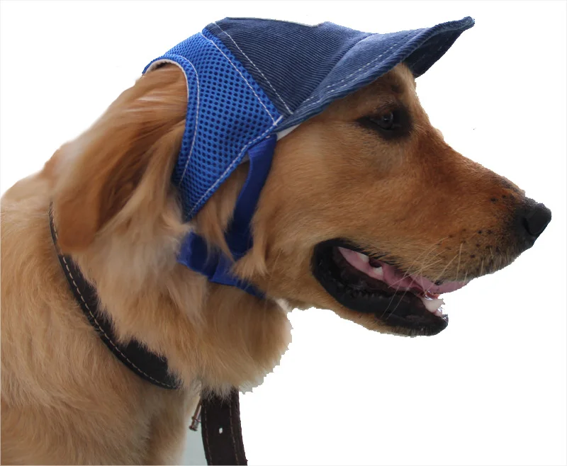 Large dog hat