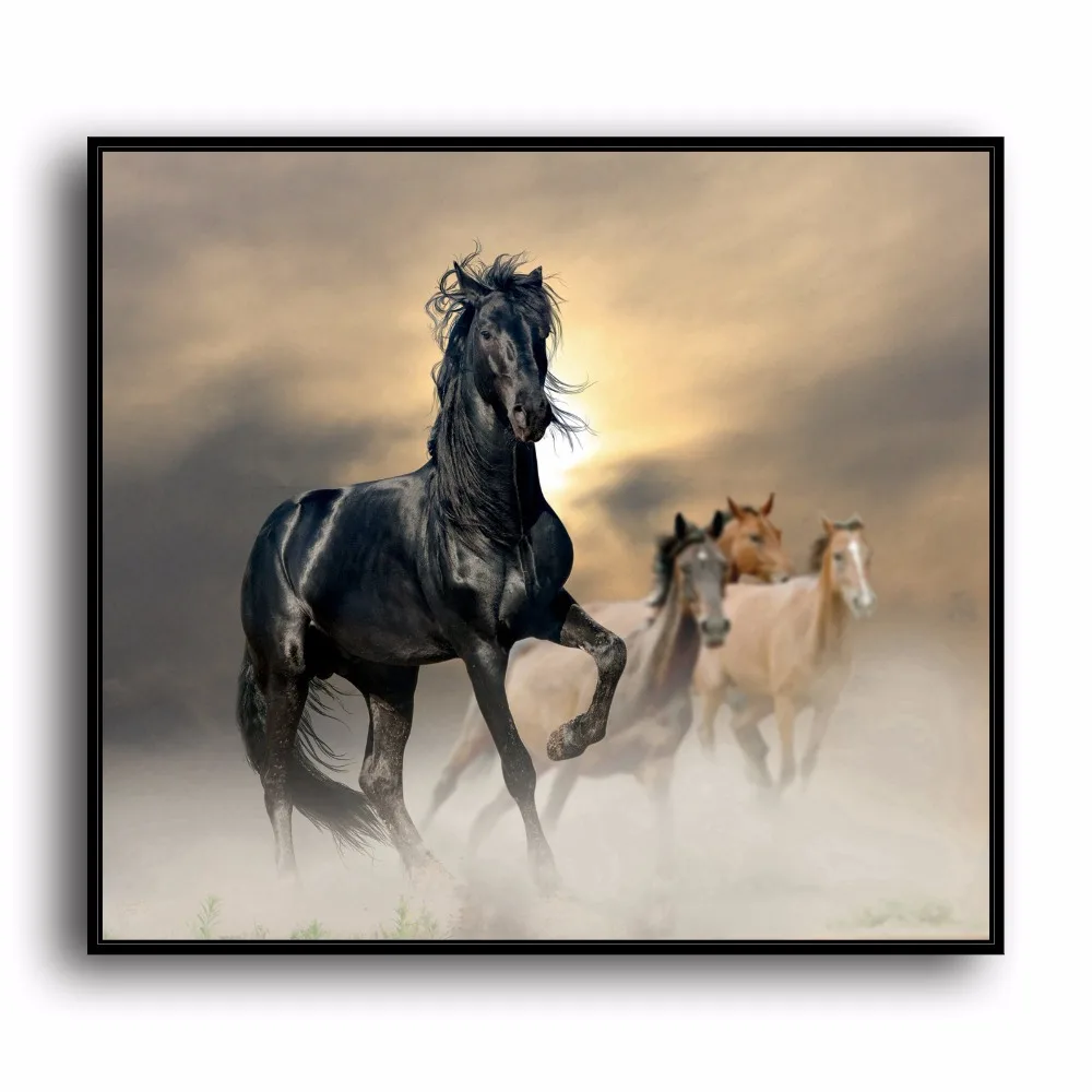 SR100582 Horse Running Natural Scenery Animal. HD Canvas Print Home