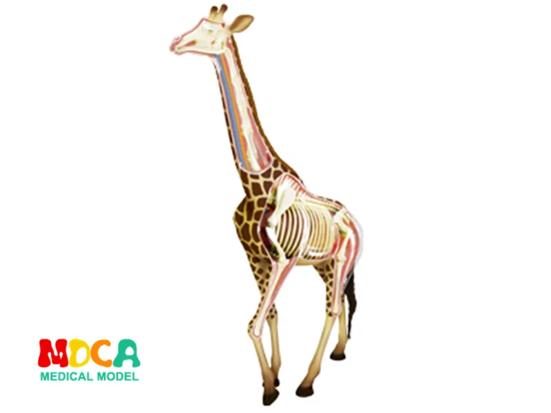 4d мастер-головоломка сборная игрушка животное собака кошка курица лошадь Акула КИТ биология орган анатомическая модель для медиков обучающая модель - Цвет: Giraffe 26106