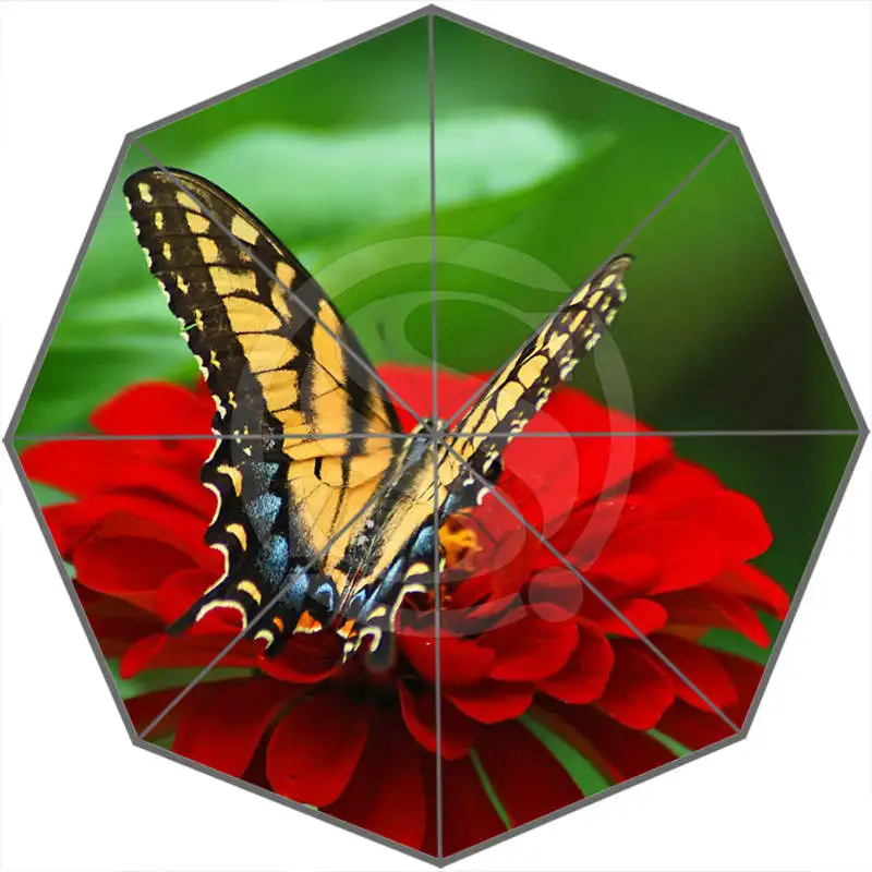 Custom Butterfly Compact Travel Windproof Rainproof Foldable Umbrella