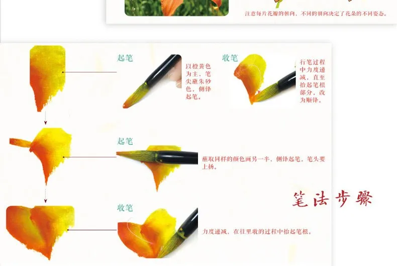 TB26FphoVXXXXccXpXXXXXXXXXX_!!2591108390