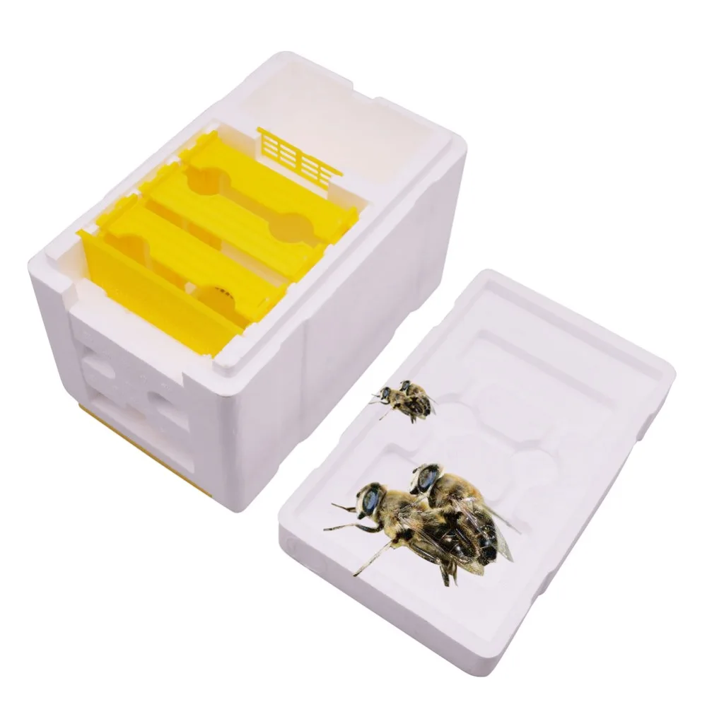 

1 pcs Bee Mating Breeding Box 241*148*166mm Beekeeper Apiary Bee Hives Beekeeping Tools Equipment Good Insulation