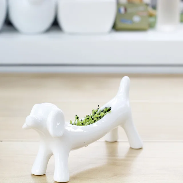 Dog Flower Pot Ceramic Mini Planters Succulents Desktop Plant Pots Cartoon Planting With Gift Box 8.3