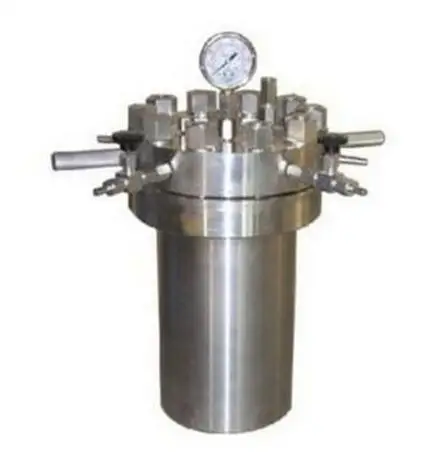 

Pressure Hydrothermal Autoclave Reactor 500ml 22Mpa 380,