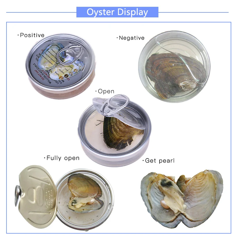 Hongye Wish Box Pearl Love Heart Cage Holder Chokers ожерелье для женщин кулоны жемчужное Oyster