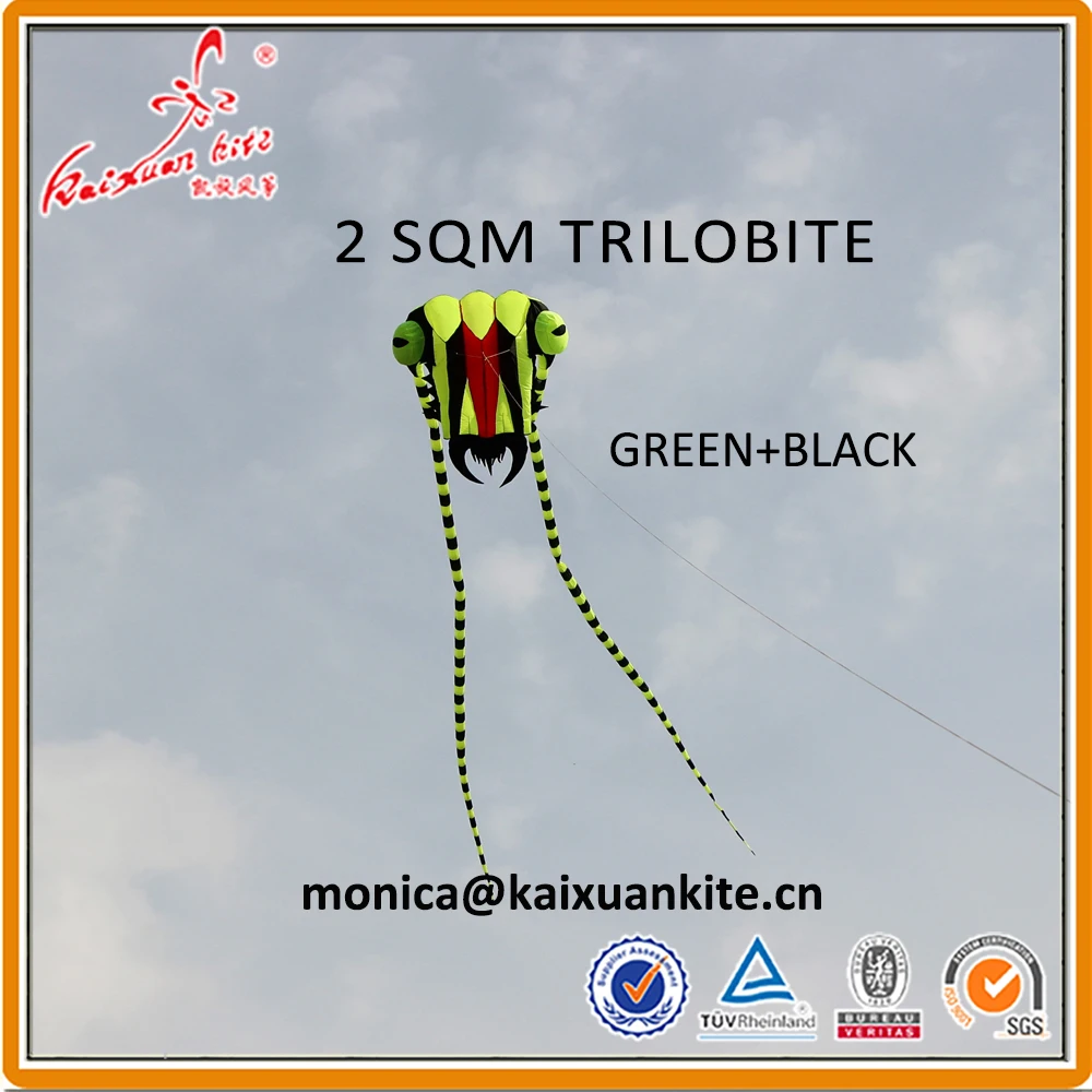 2sqm trilobite green black