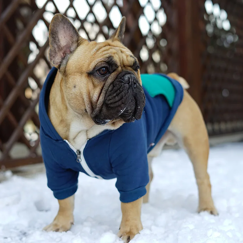 Лоскутная Одежда для собак зимняя одежда для домашних животных для собак французский щенок бульдога костюм ватм Pet курта для Собак Мопс хлопчатобумажная одежда для домашних питомцев