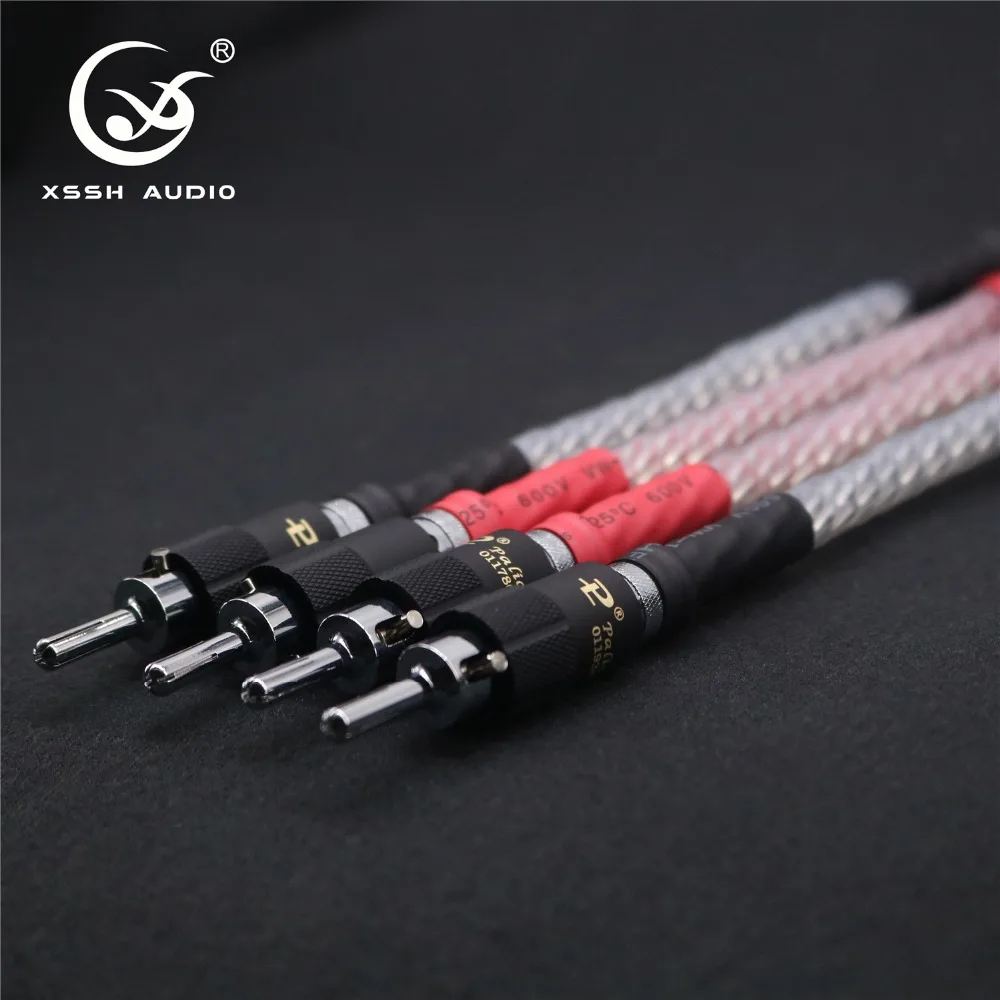bi wire 02