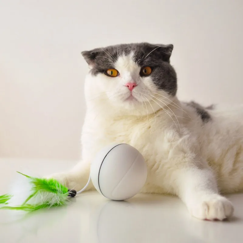 

360 Degree Cat Interactive Toys Automotive Light Toy for Pets Cat Chaser Ball USB Rechargeable With Detachable Feather For Gatos