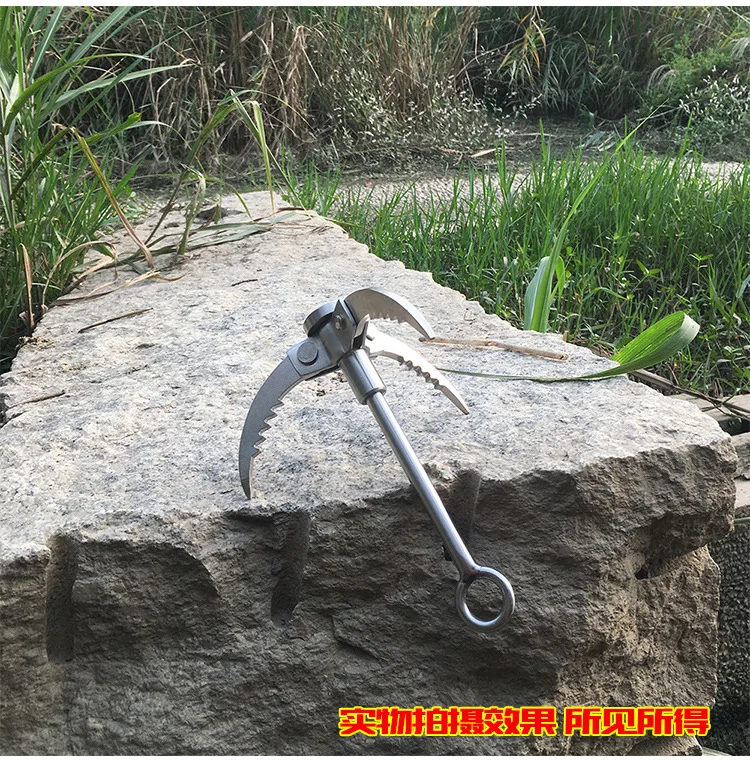 3552236317_2102329459