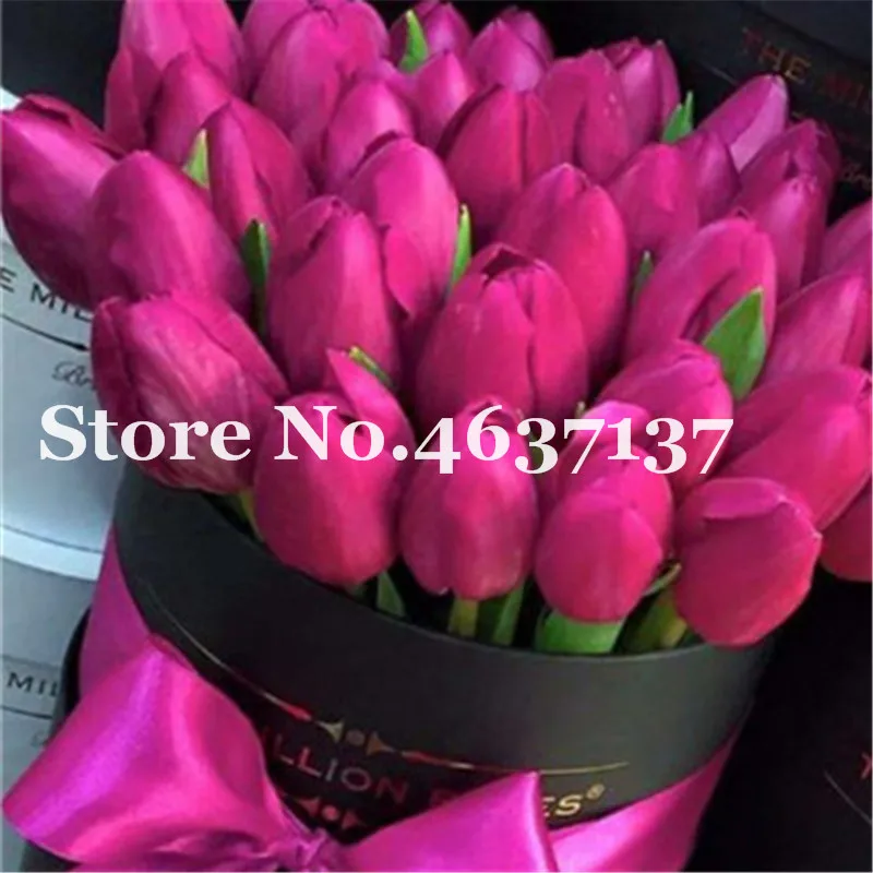 100pcs Multifarious Tulip Flowers, Tulip Bonsai Of Perennial Garden Flower(Not Tulip Bulb)Herbs For Home Garden Courtyard Beauty