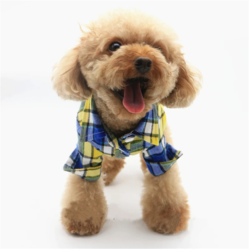 dog-classical-t-shirt-2
