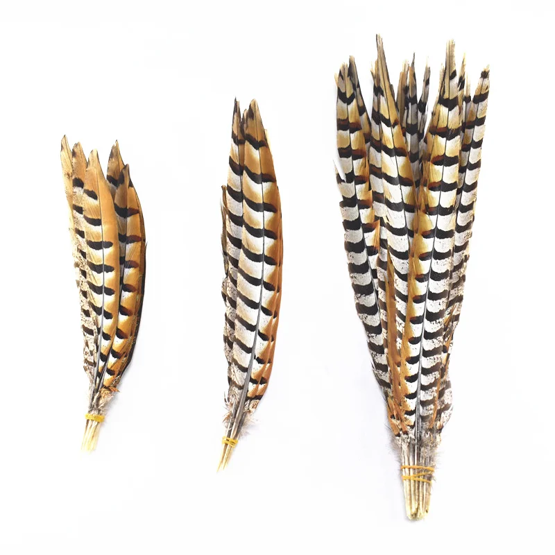 

wholesale Natural Reeves Rare Pheasant Tail Feathers 30-180CM 10-50pcs/lot diy Wedding Decorations Plumas Pheasant Tail Feathers