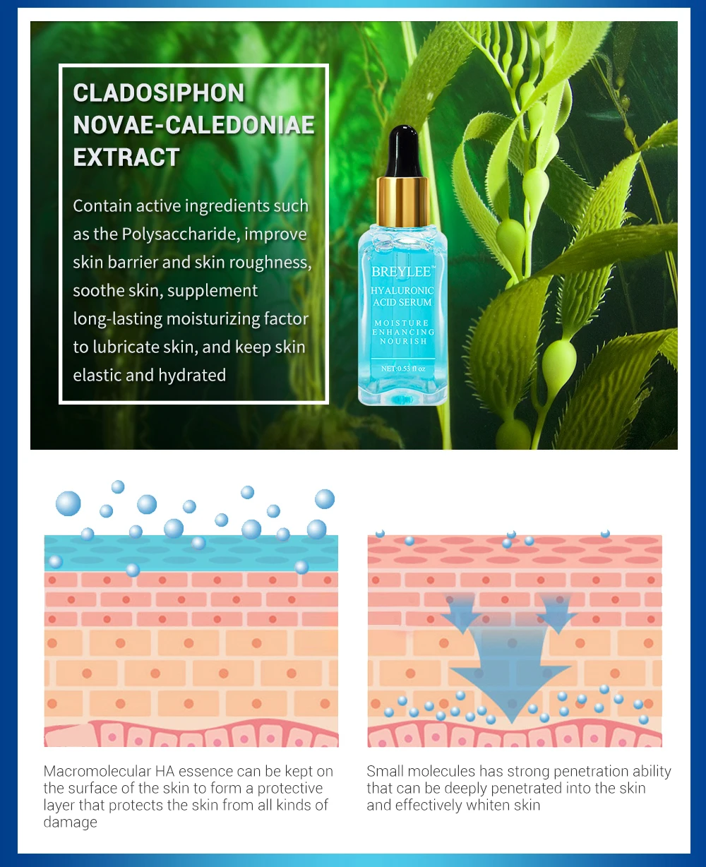 15ml(_03