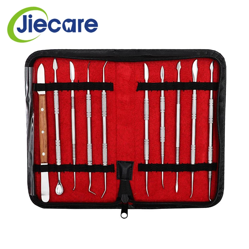 10 PCS/Set New Dental Lab Equipment Dental Wax Carving Tool Set Dental Instrument Stainless