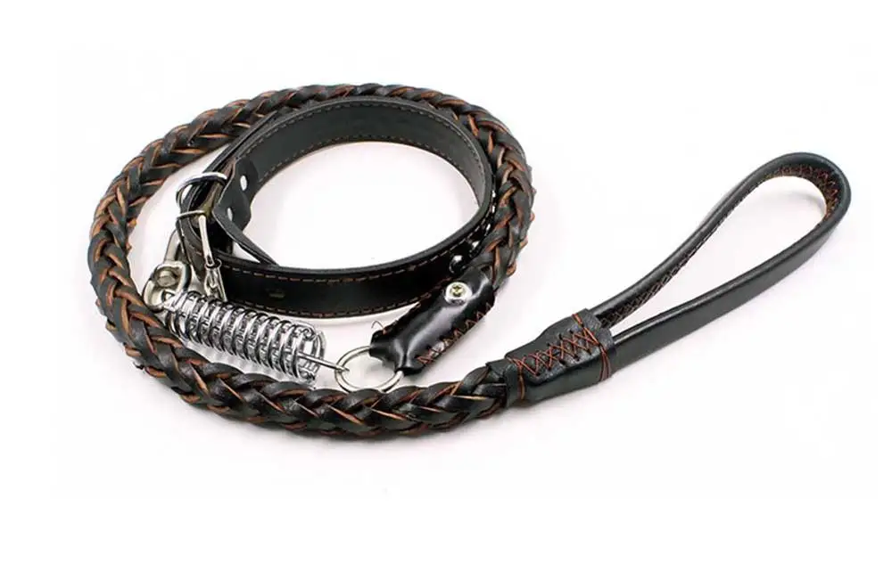 10 Collars, Harnesses & Leads