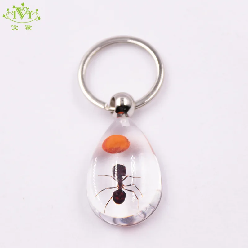 

Transparent Ant Red Bean Keychain Animal Trinket Key Rings Unique Llaveros Para Mujer Netural Insect Key Chain Gift for Kid Man