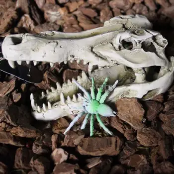 

1Pc Dragon Resin Reptile Vivarium Decoration Hiding Cave Aquarium Underwater Ornament Crocodile Skull DIY Landscaping