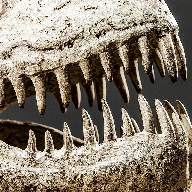 Динозавр Fossil череп моделирование животных модель украшения гостиной ТВ шкаф