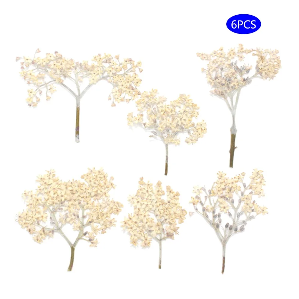2SS304246-BG