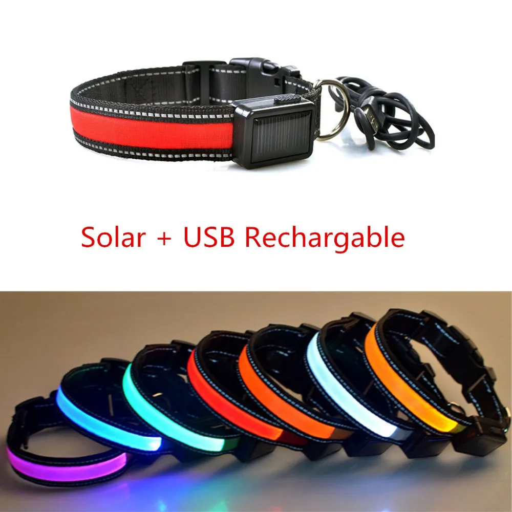 N25 New design Pet LED Collar Solar & USB rechargeable Nylon Pet Dog