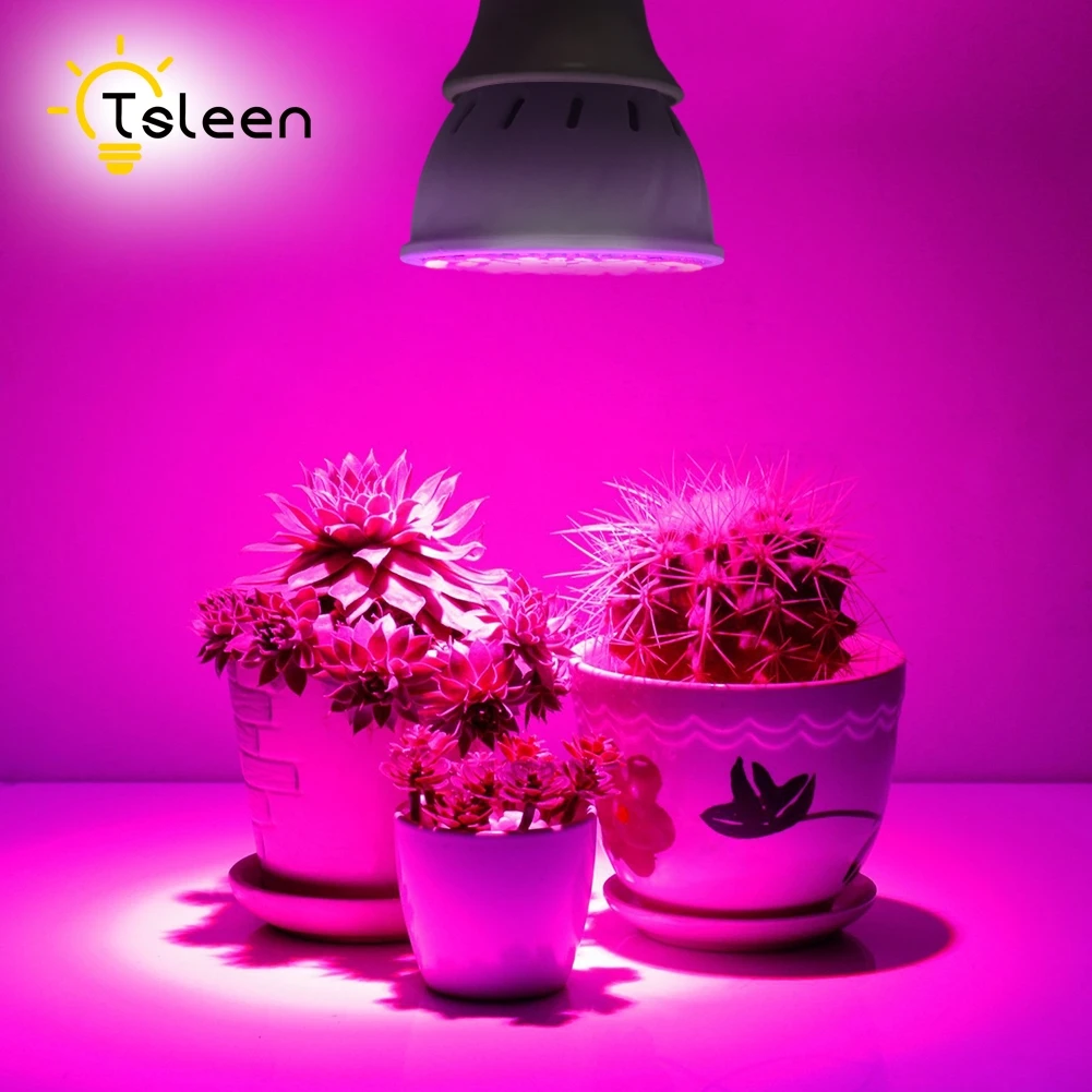 Cheap Newest Hydroponics Lighting 4W 6W 8W E27 E26 LED 36 54 72 Leds Red and Blue Hydroponic LED