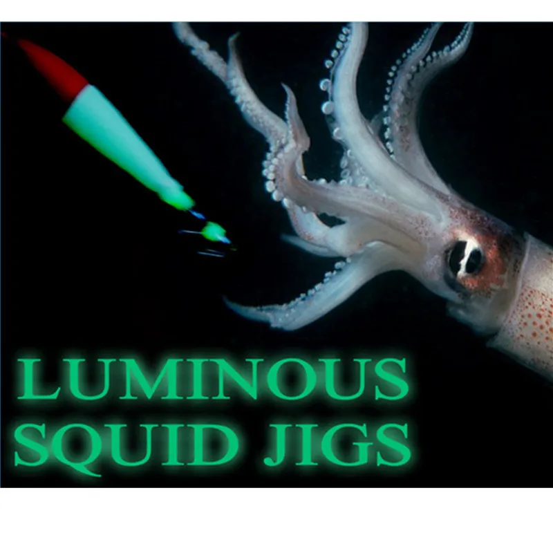 6Color LED Mini Underwater Deep Drop Fishing Squid Fish Lure Light Flashing Lamp