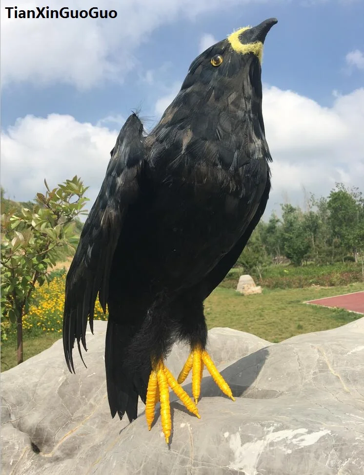 

simulation black eagle bird hard model prop feathers want-to-open wings eagle large 50cm handicraft home garden decoration s1848