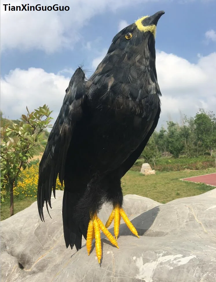 simulation black eagle bird hard model prop feathers want-to-open wings eagle large 50cm handicraft home garden decoration s1848