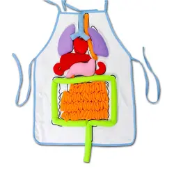 Модель боди-органа, игрушки, лобзик, фартук, биологический орган, обучающая помощь, научная образовательная игрушка для детей младшего