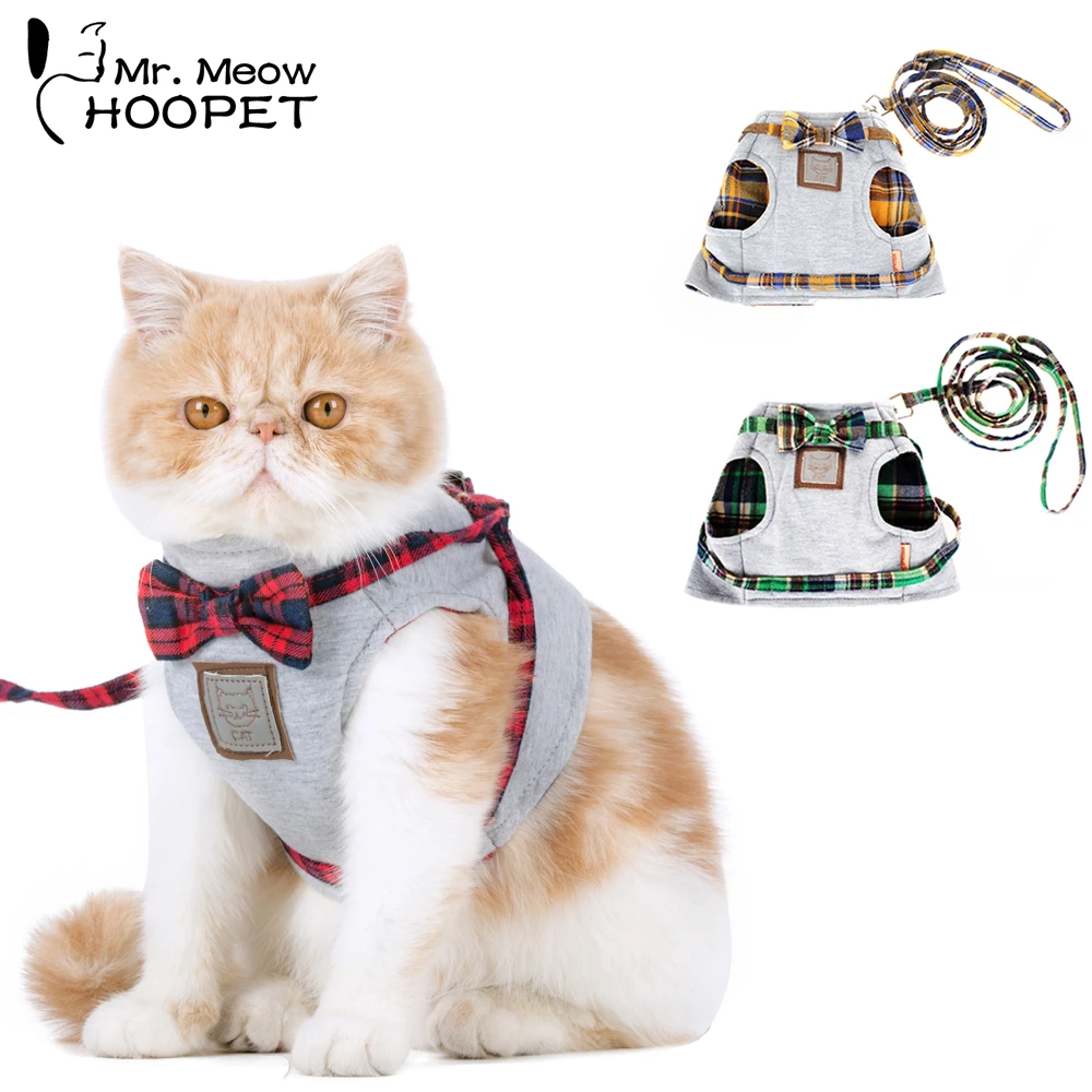 cat collar and harness