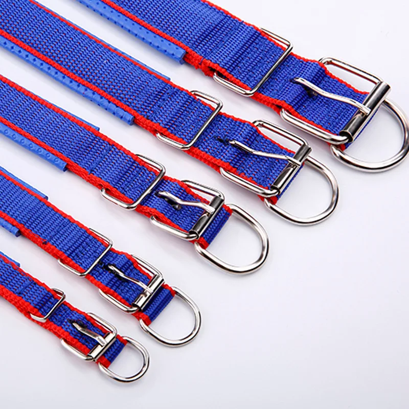 Adjustable Nylon Dog Collar 4