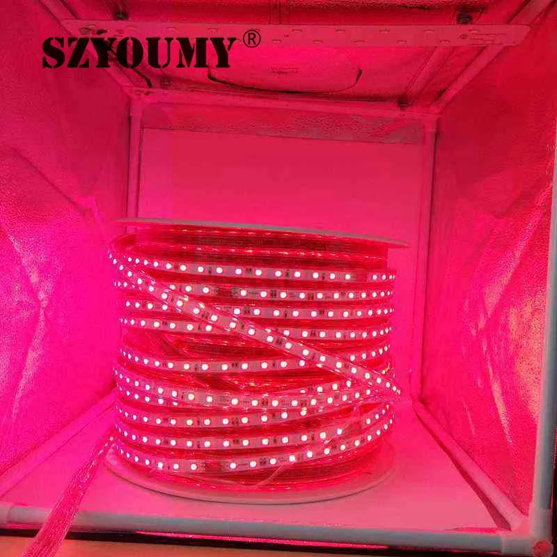 SZYOUMY высокий яркий Водонепроницаемый 220 В SMD 5050 60 светодио дный S на метр полосы гибкий свет IP66 светодио дный дюралайта лампа с мощность 220 в