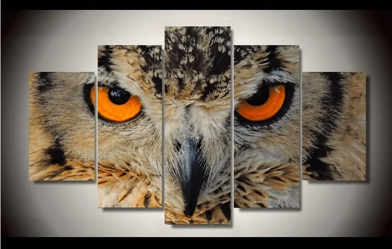 Indian owl
