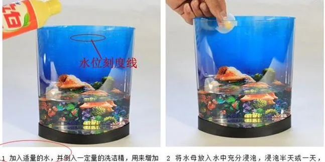 jelfish
