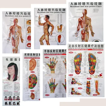 

3 / 7pcs Body acupuncture points chart/human meridian gut map/human skeletal figure/body digest map/head eyes ears foot massage