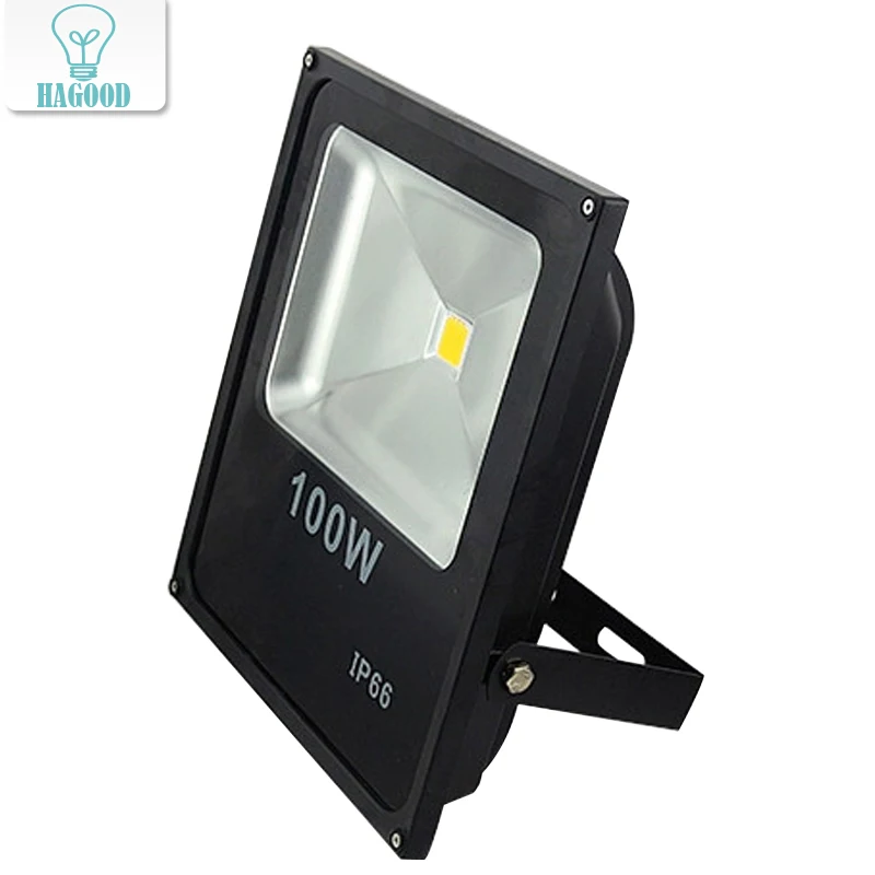 

100W DC12V LED Flood Light LED spotlight 100W Warm/Cold White Outdoor spotlight Light LED Floodlight
